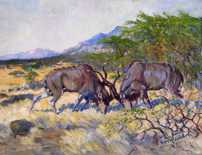 Bild Zwei kämpfende Kudus von Uli Aschenborn